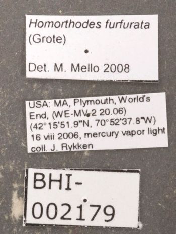 Media type: image;   Entomology 622428 Aspect: labels